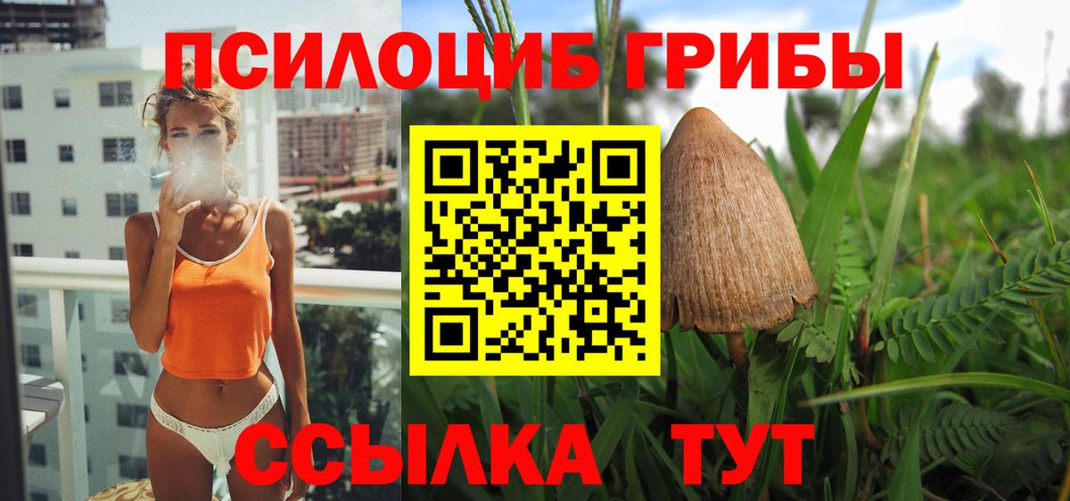 Гусиноозёрск  Псилоцибиновые грибы Psilocybine cubensis  Галлюциногенные грибы ЛСД  Вход с VPN 