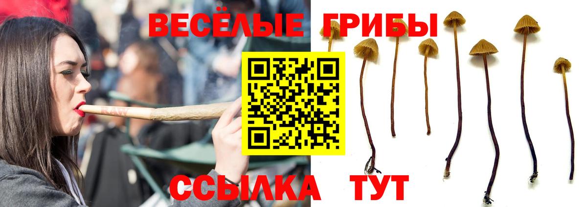 Галлюциногенные грибы Magic Shrooms Гусиноозёрск